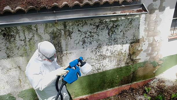 Top rated local Attic Mold Removal specialists in Shermans Dale, PA